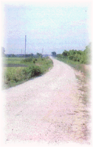 Country_Road_w