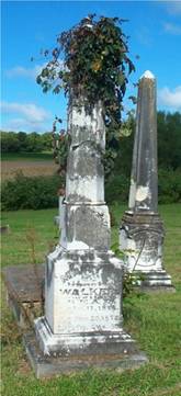 AS_Walker_Stone AS_Walker_Stone